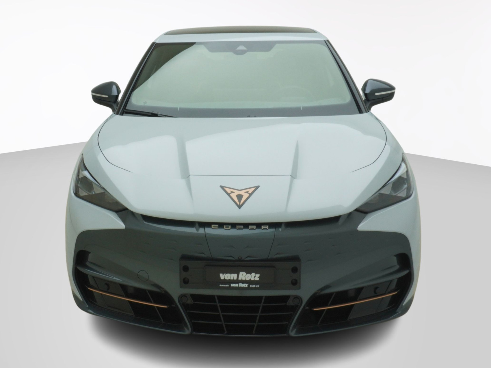 CUPRA Tavascan VZ Adrenaline