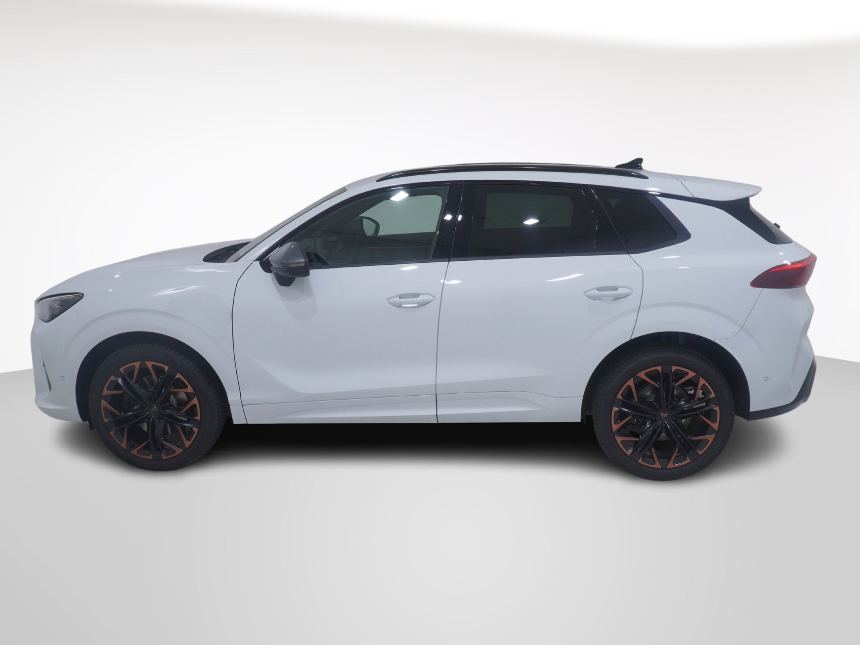 CUPRA Terramar 2.0 TSI 4Drive DSG