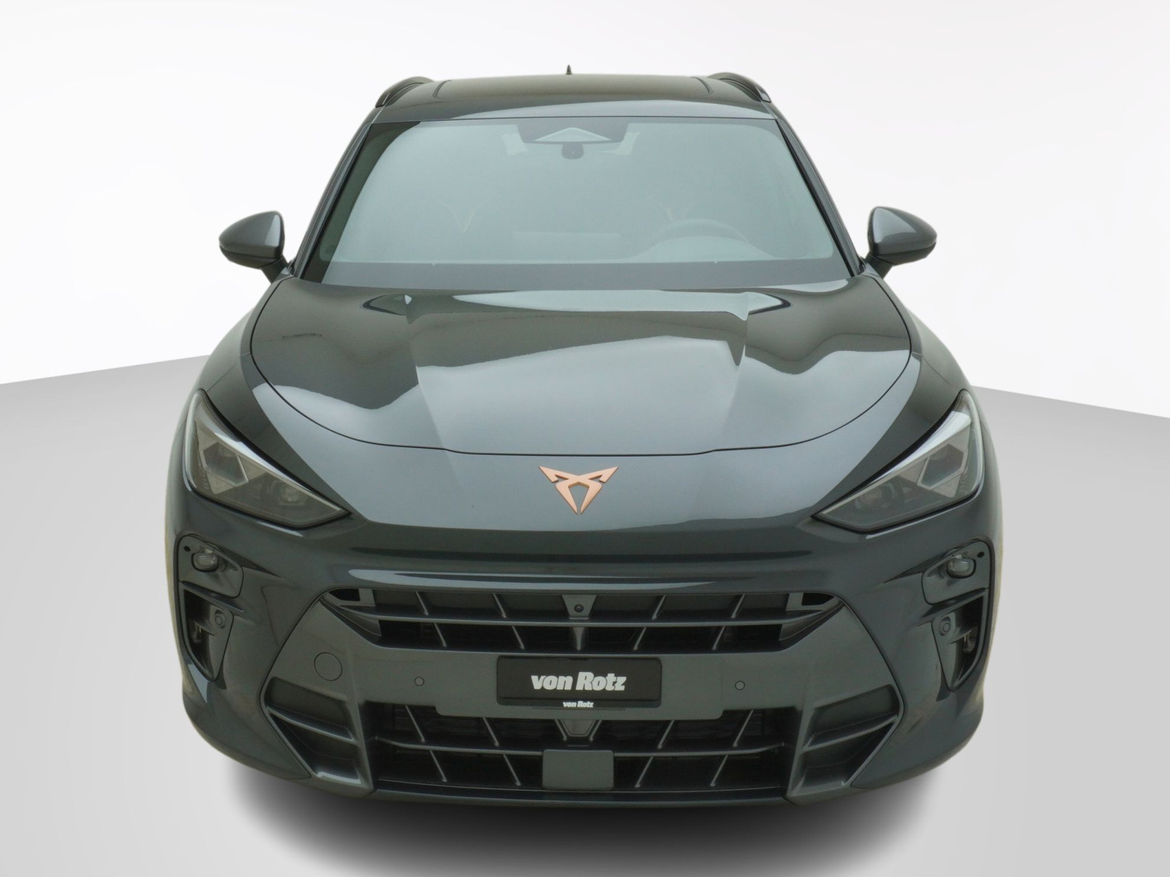 CUPRA Terramar 2.0 TSI VZ 4Drive DSG