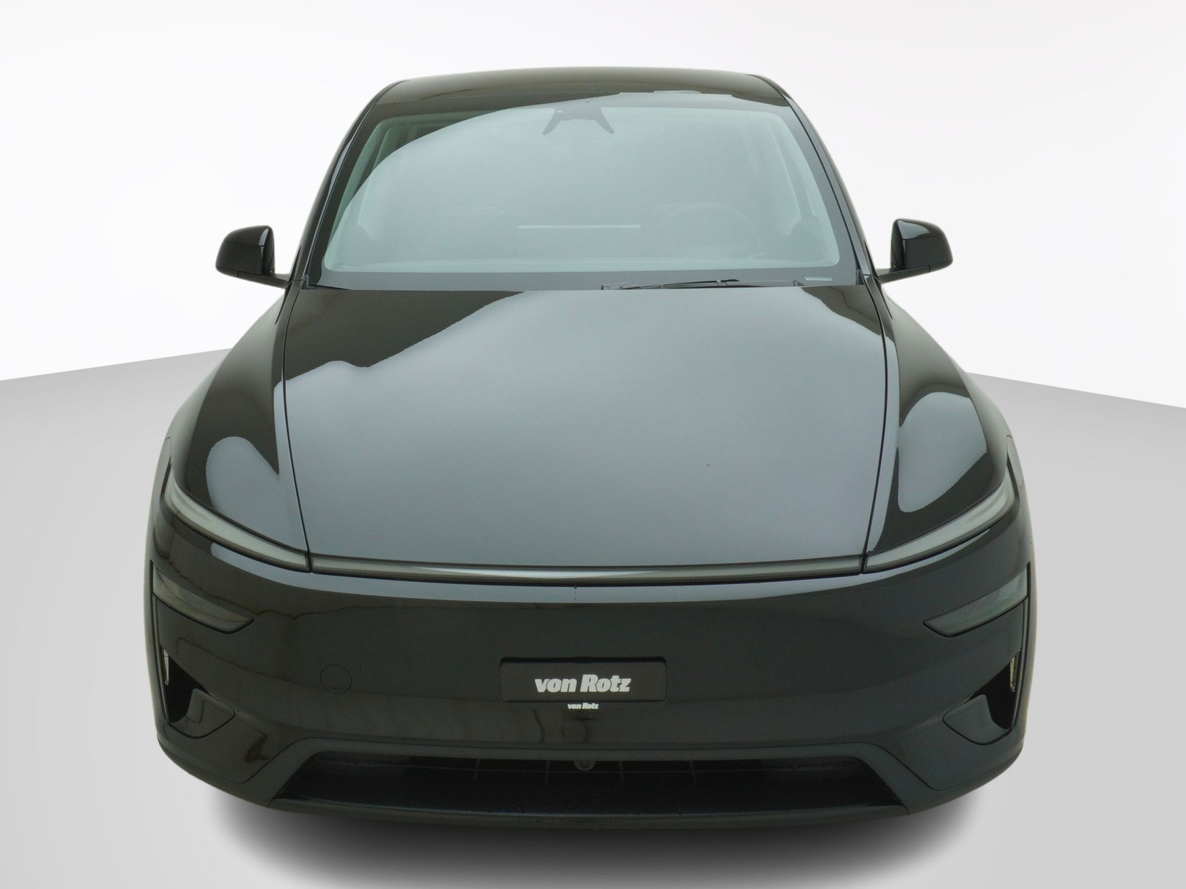 TESLA Model Y Performance AWD