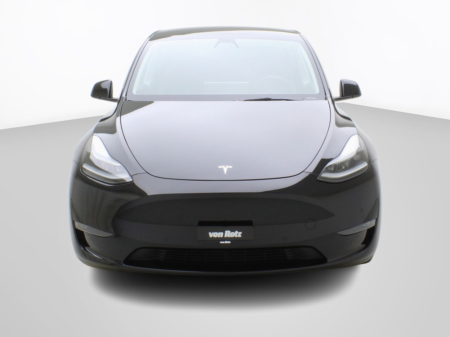 TESLA Model Y Performance
