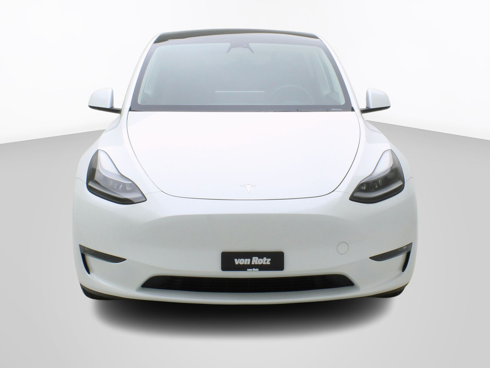 TESLA Model Y Long Range Dual AWD