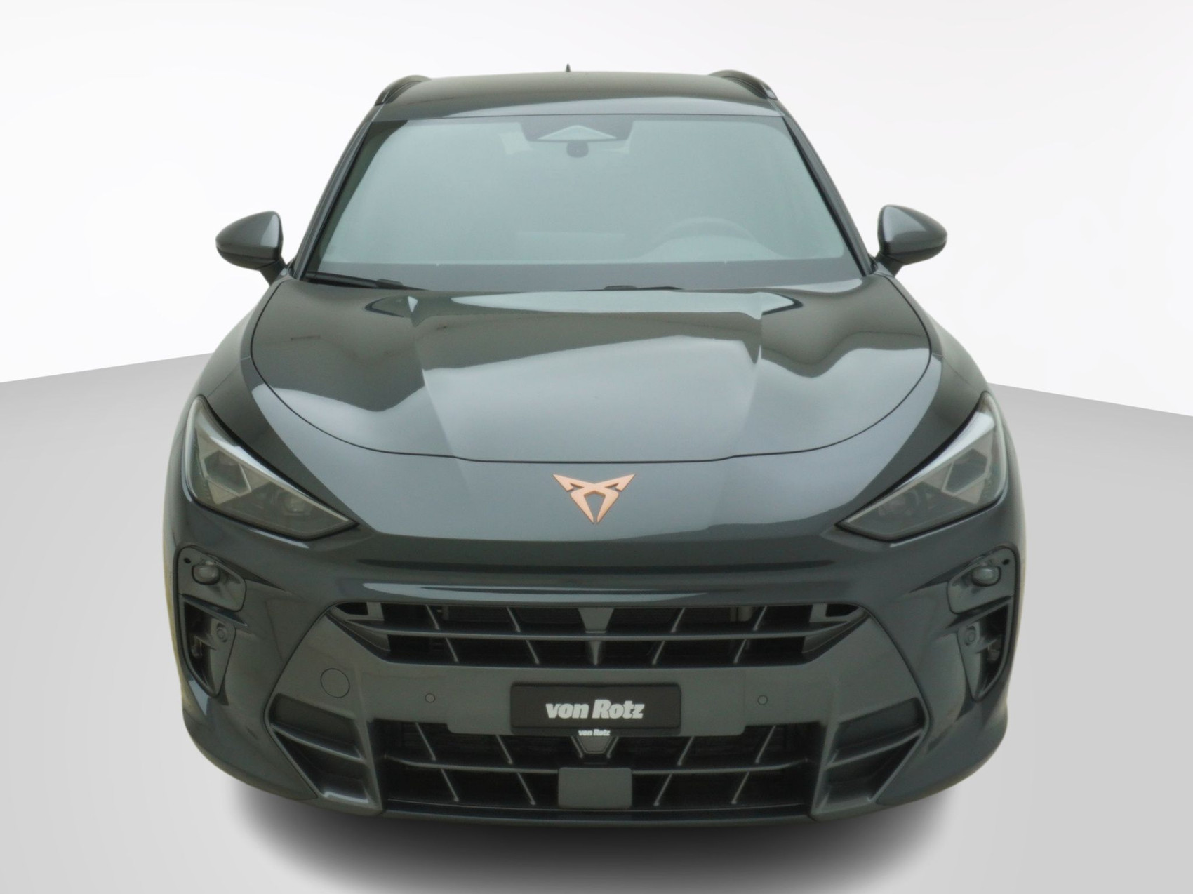 CUPRA Terramar 2.0 TSI 4Drive DSG