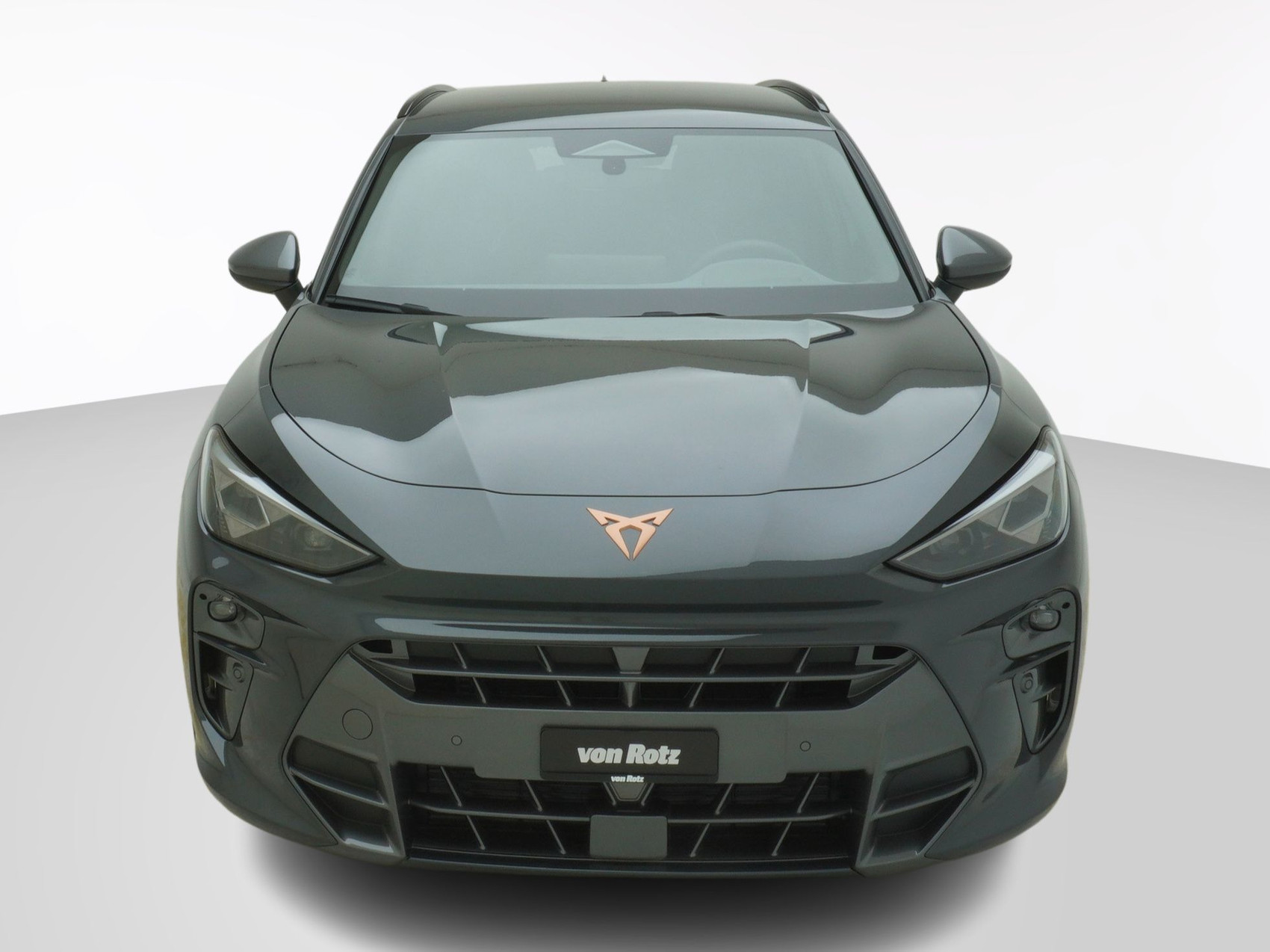 CUPRA Terramar 2.0 TSI 4Drive DSG