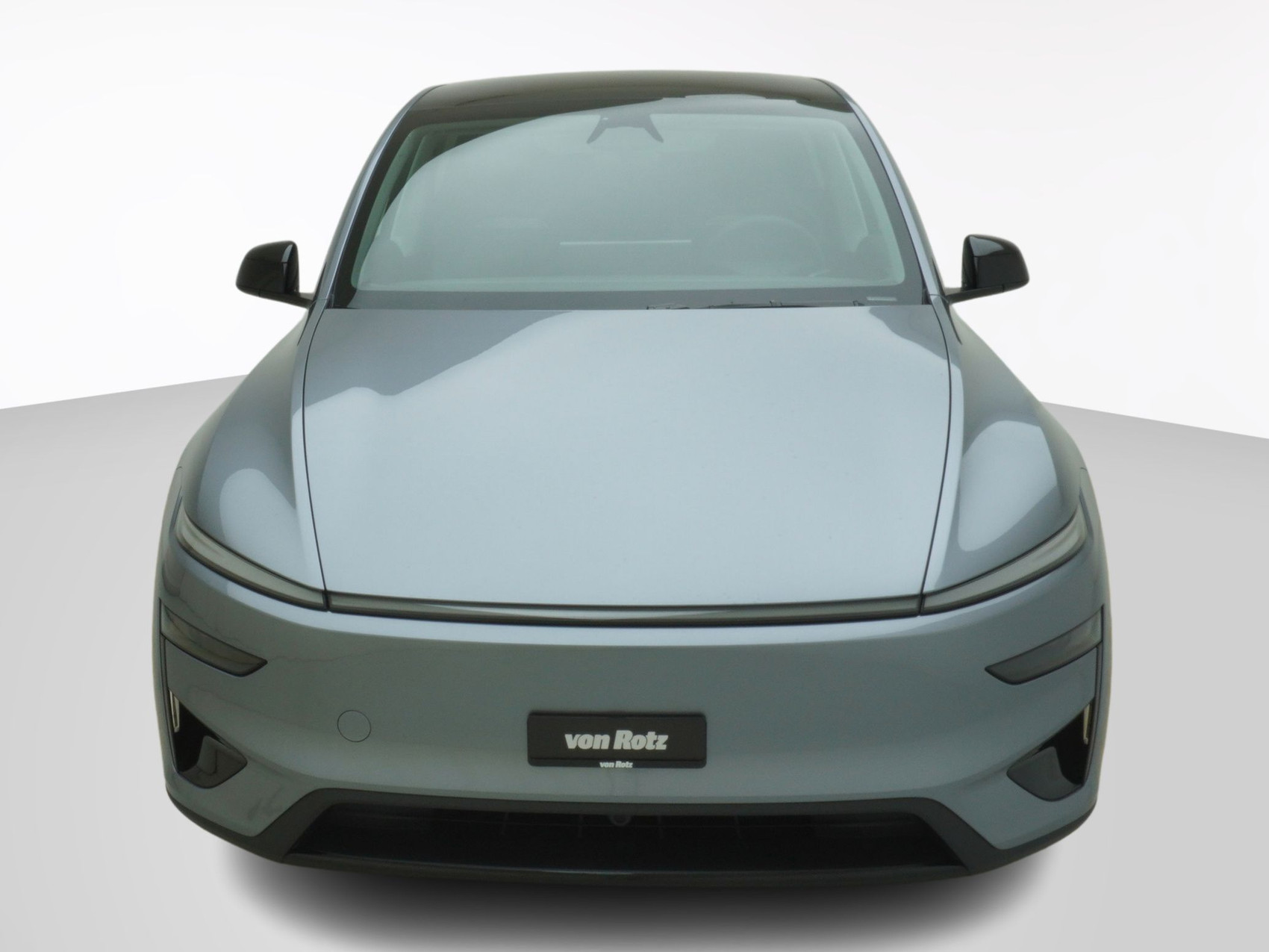 TESLA Model Y Performance AWD