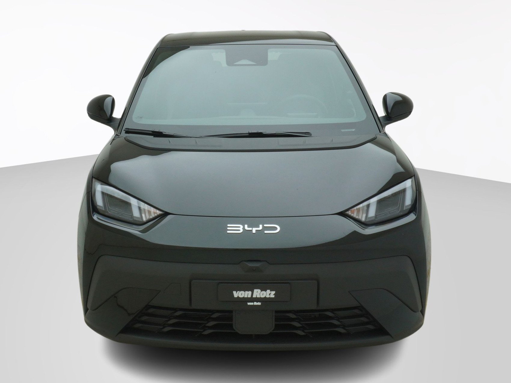 BYD Dolphin Surf Comfort