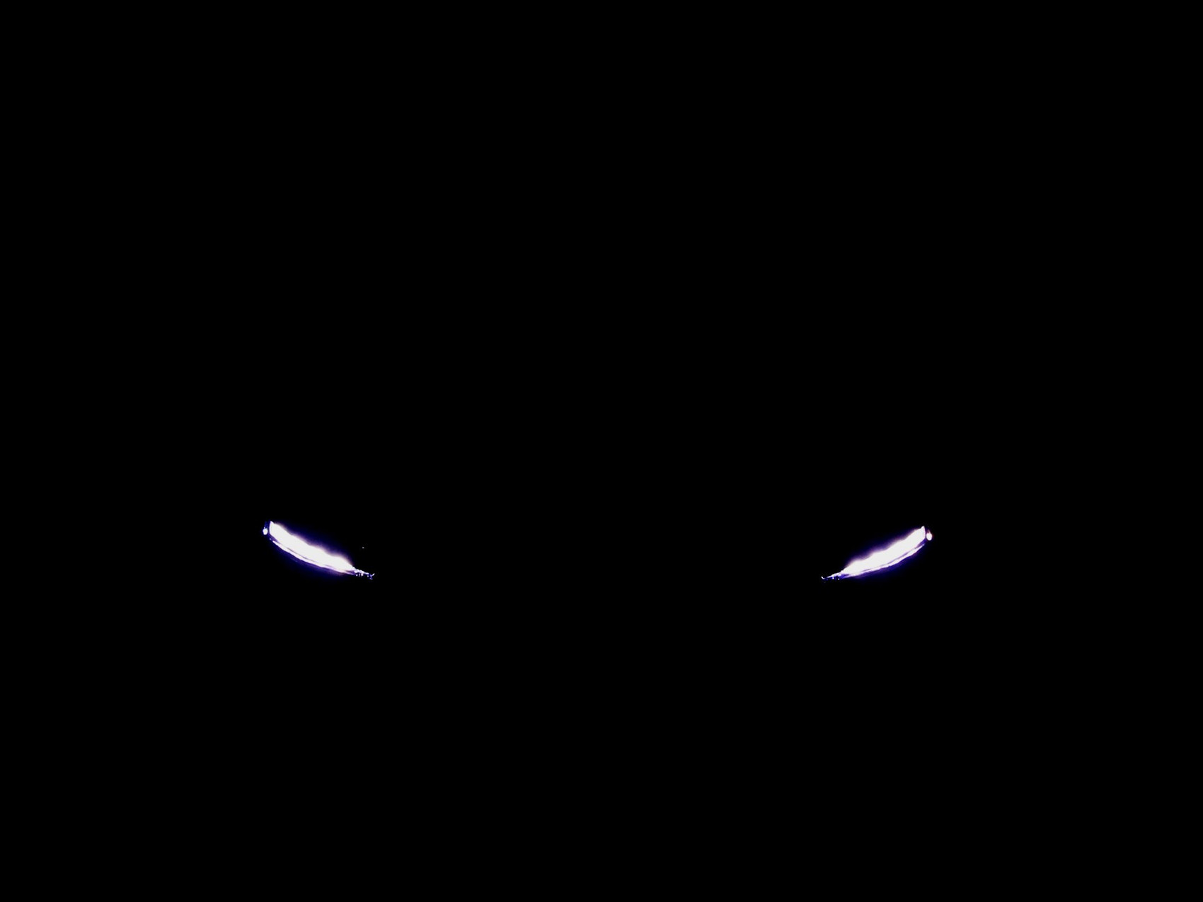 SKODA Fabia 1.0 TSI Selection-Loft