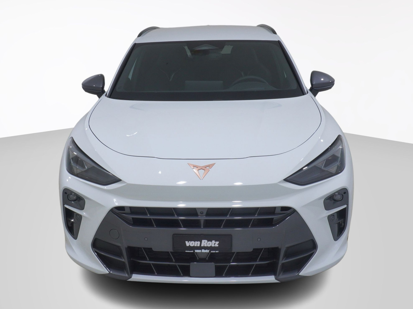 CUPRA Terramar 1.5 eTSI DSG