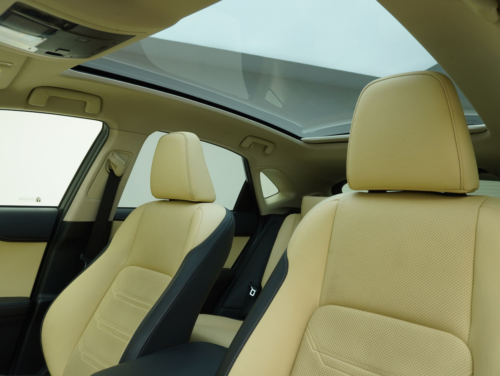 LEXUS NX 300h Excellence AWD