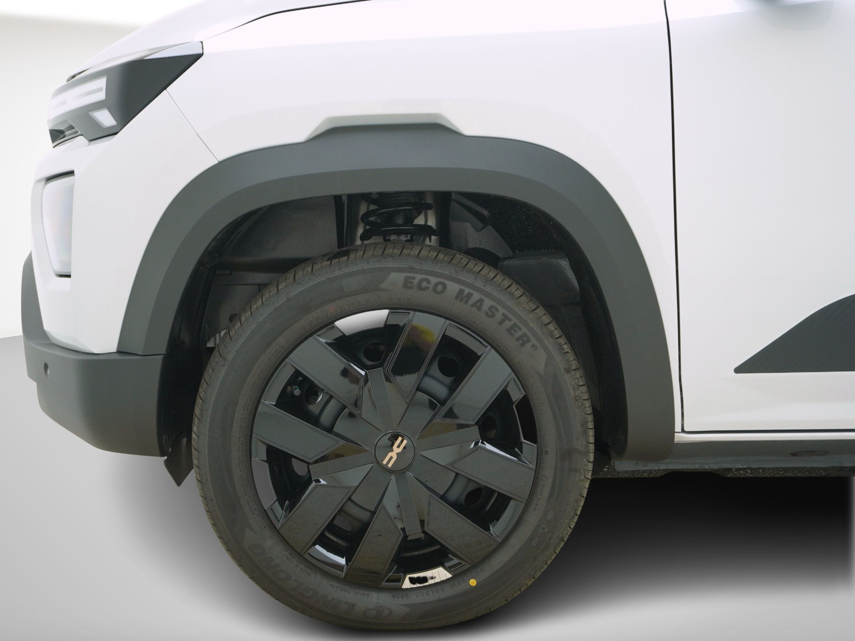 DACIA Spring Extreme electric 100