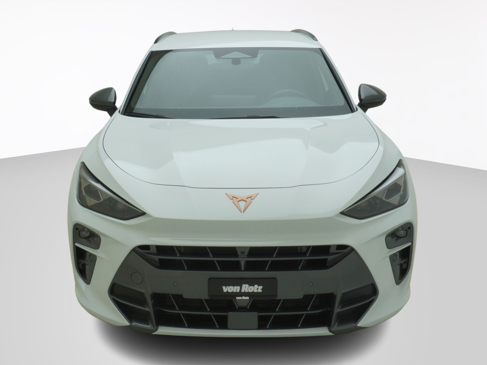 CUPRA Terramar 2.0 TSI 4Drive DSG