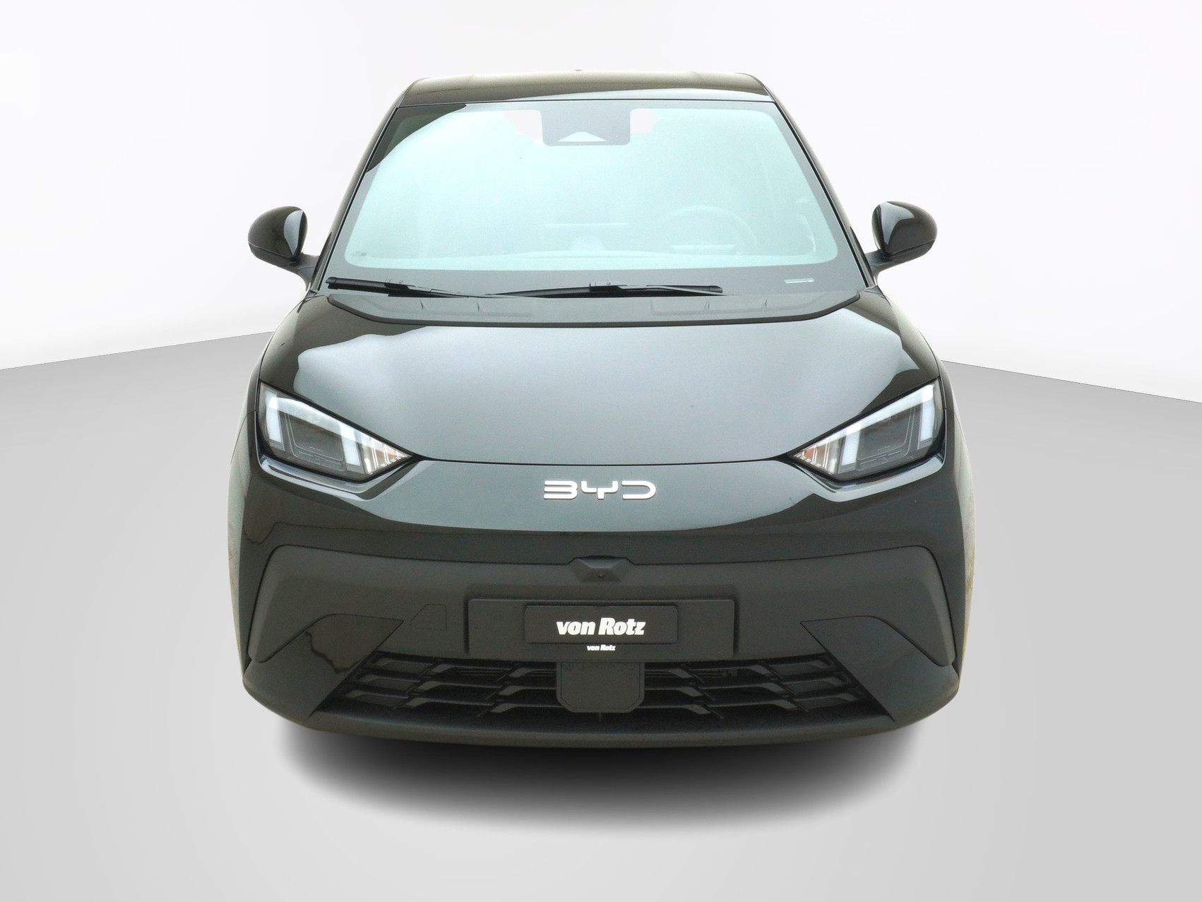 BYD Dolphin Surf Comfort