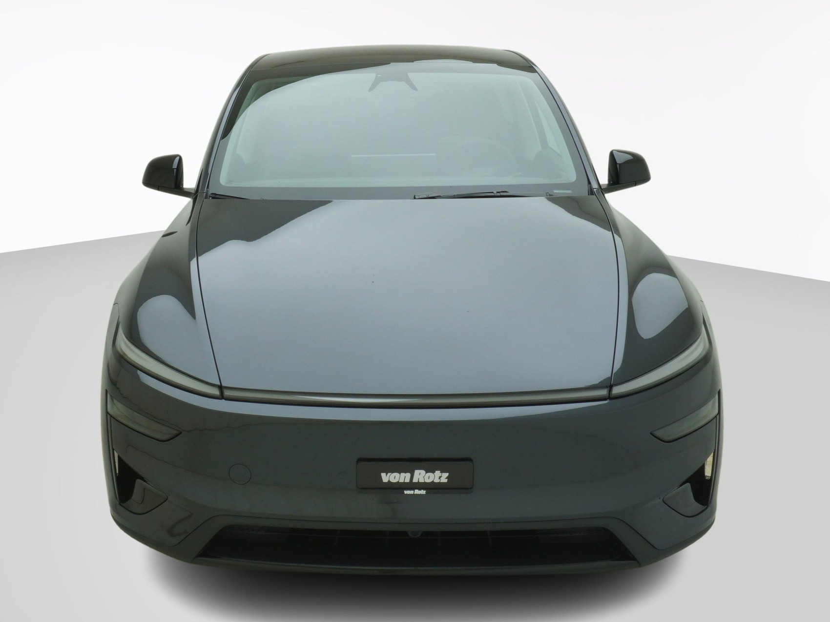 TESLA Model Y Performance AWD