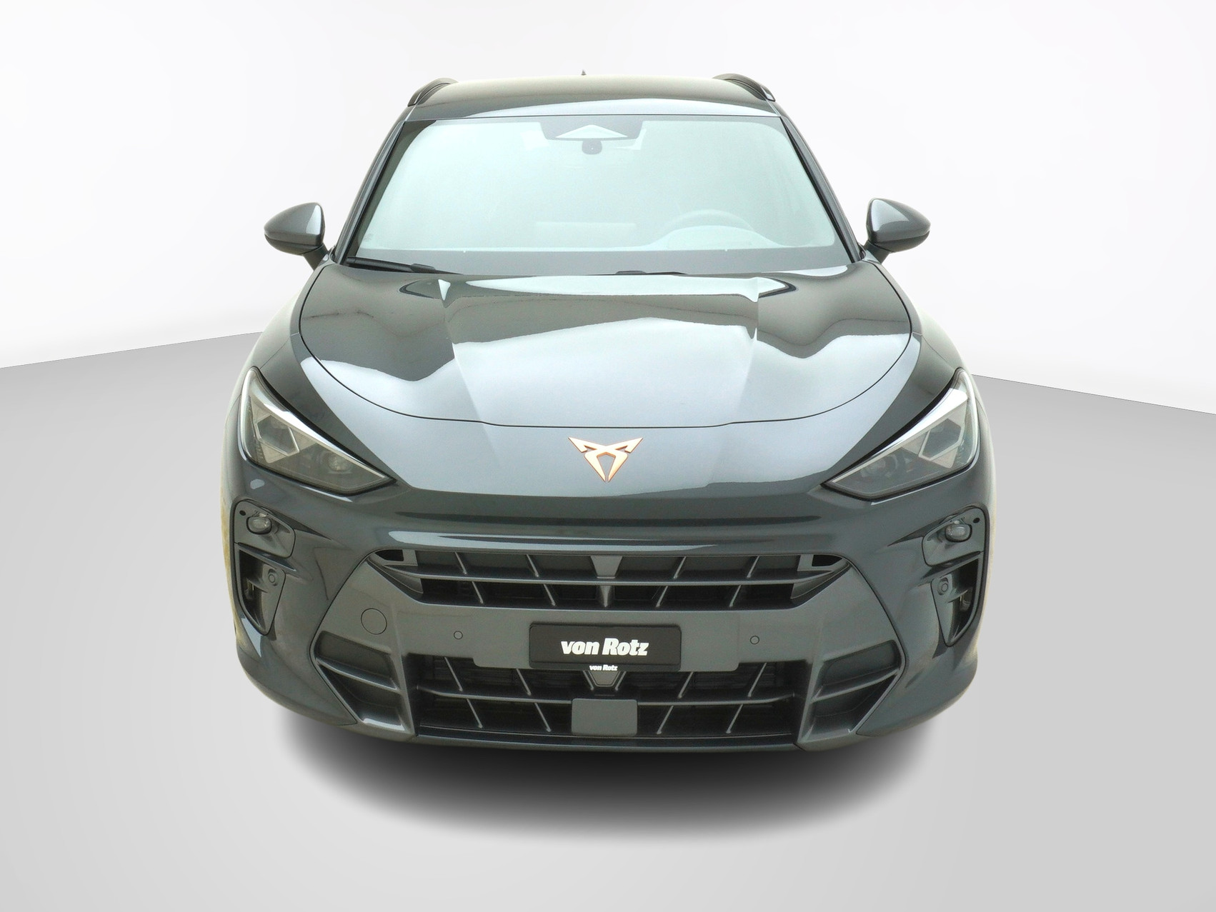 CUPRA Terramar 2.0 TSI 4Drive DSG