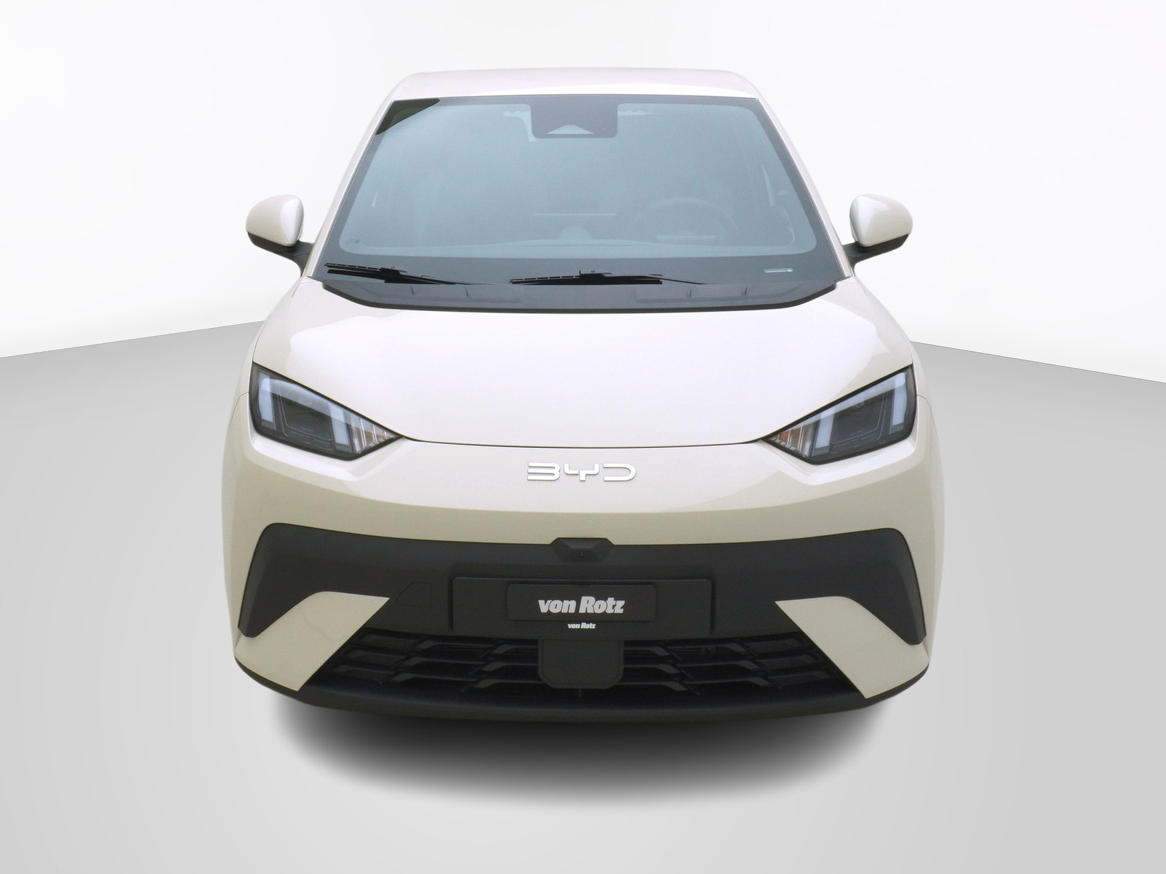 BYD Dolphin Surf Comfort