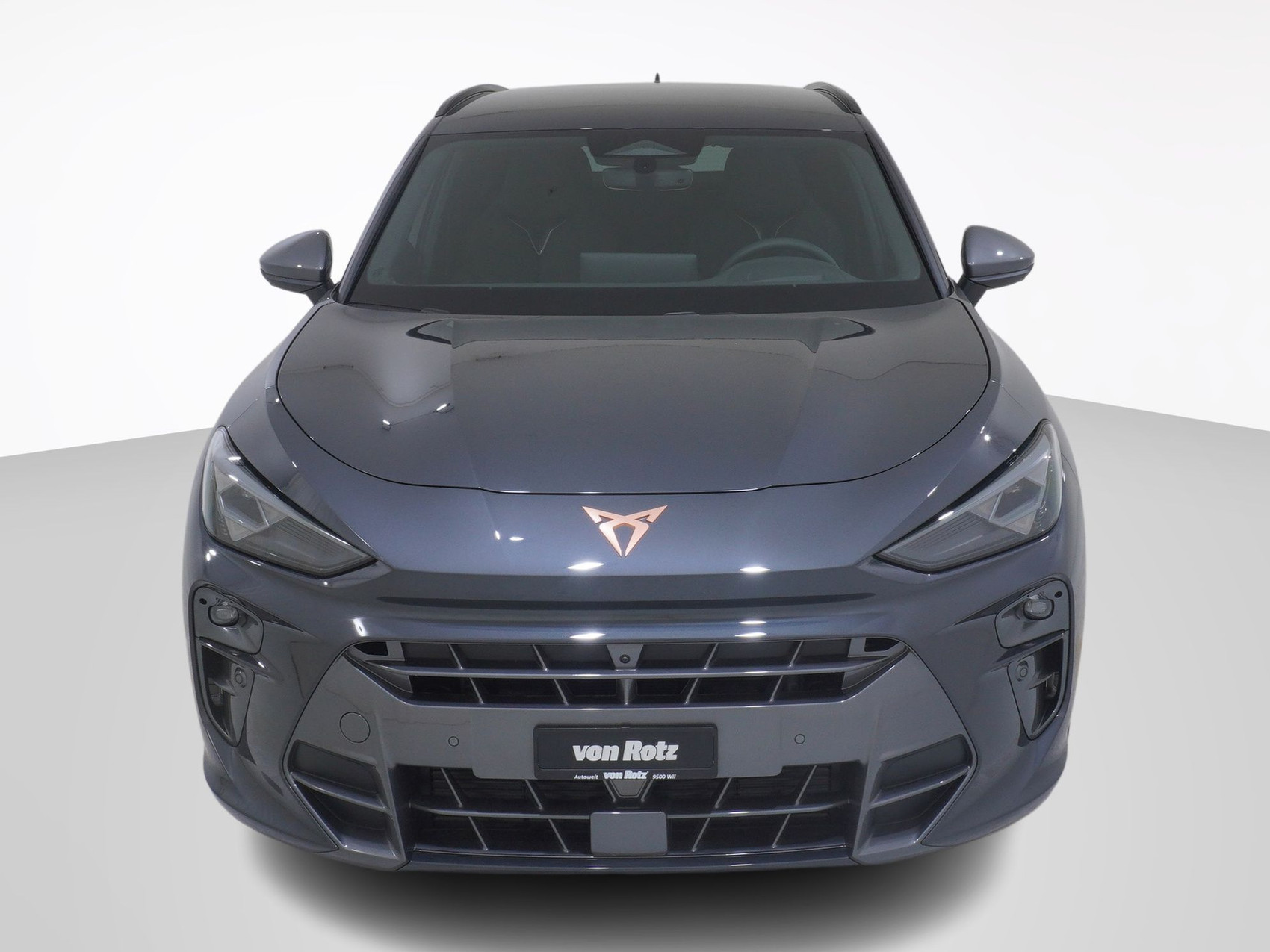 CUPRA Terramar 2.0 TSI 4Drive DSG