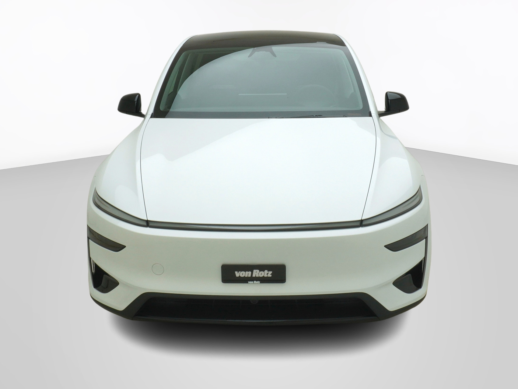 TESLA Model Y Performance AWD