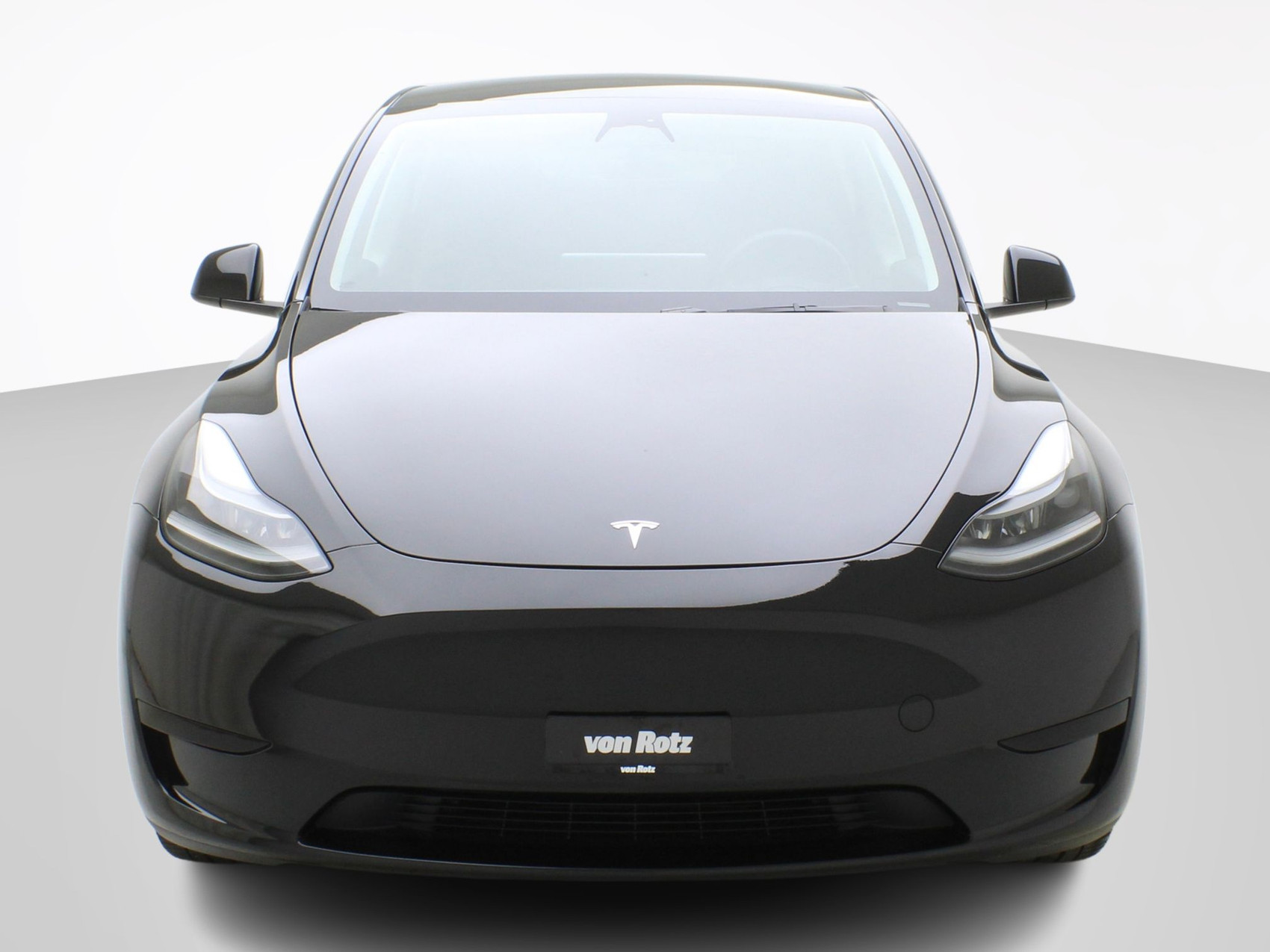 TESLA Model Y Long Range RWD