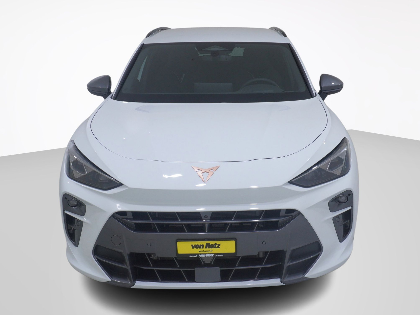 CUPRA Terramar 2.0 TSI 4Drive DSG