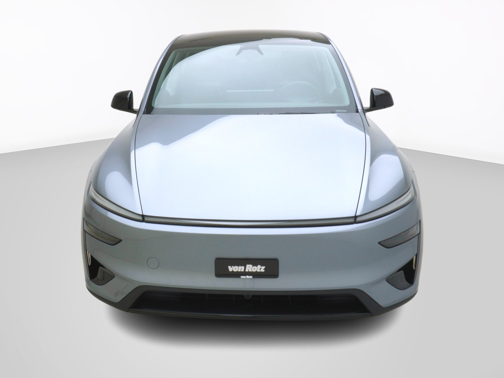 TESLA Model Y Performance AWD