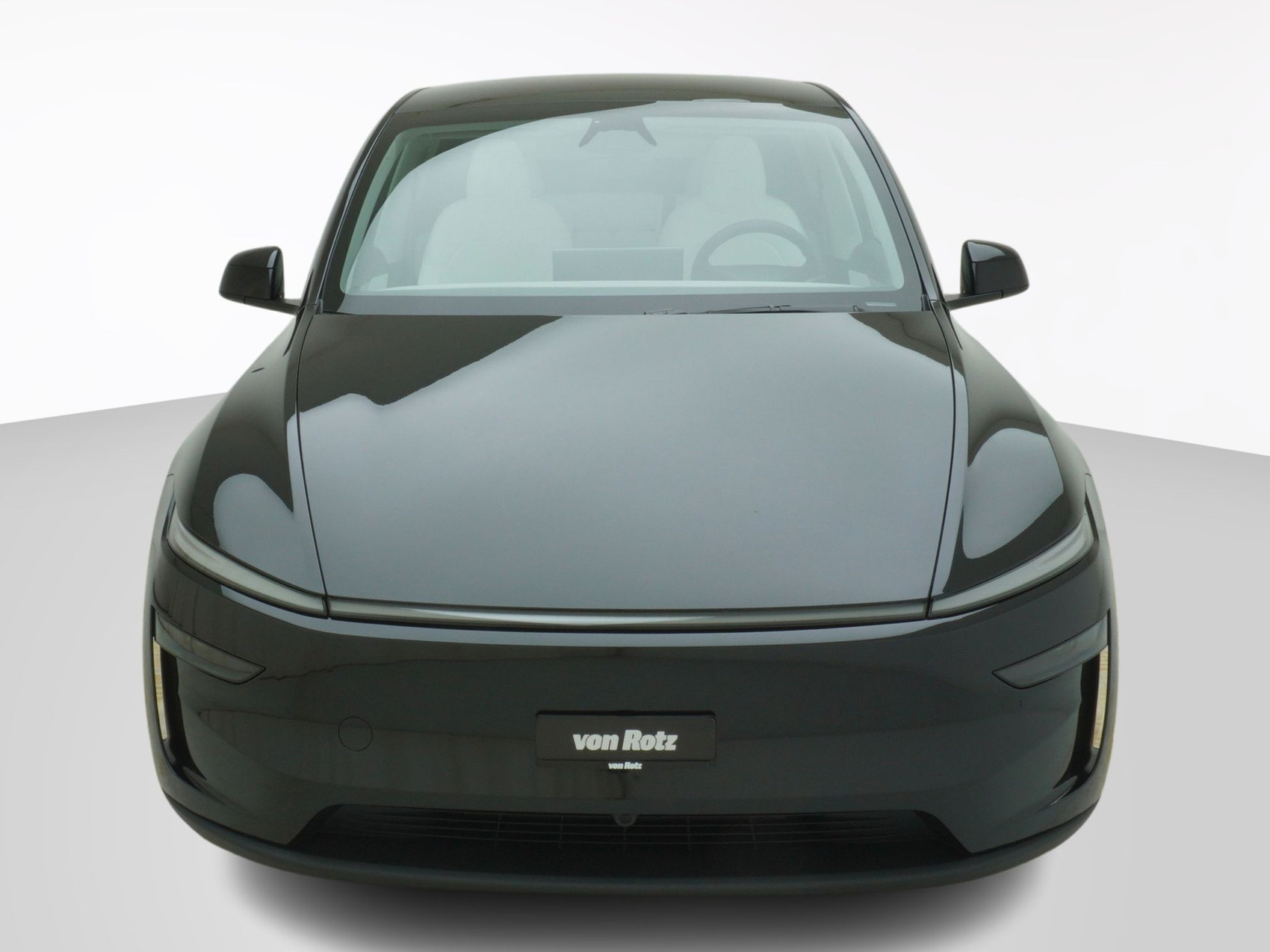 TESLA Model Y Premium AWD