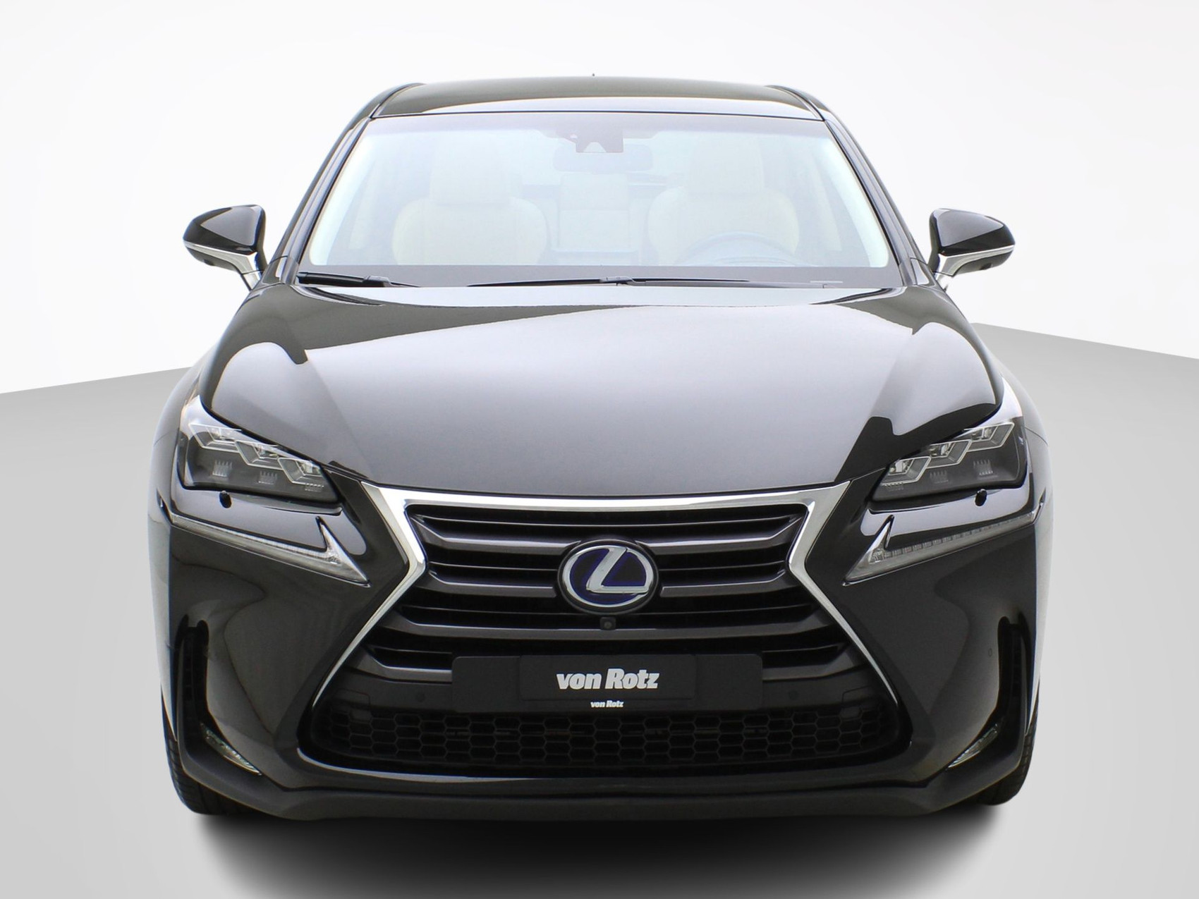 LEXUS NX 300h Excellence AWD