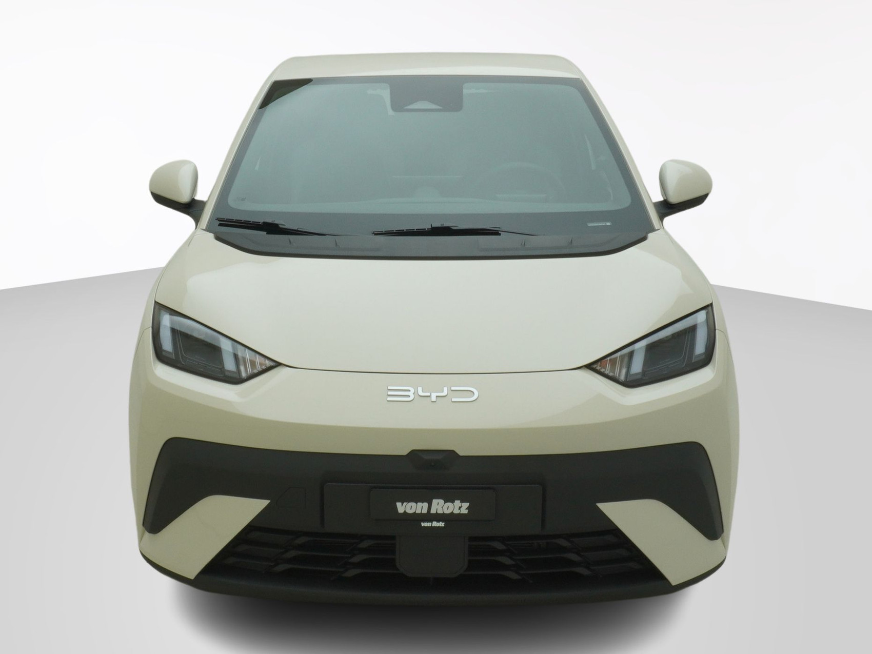 BYD Dolphin Surf Comfort