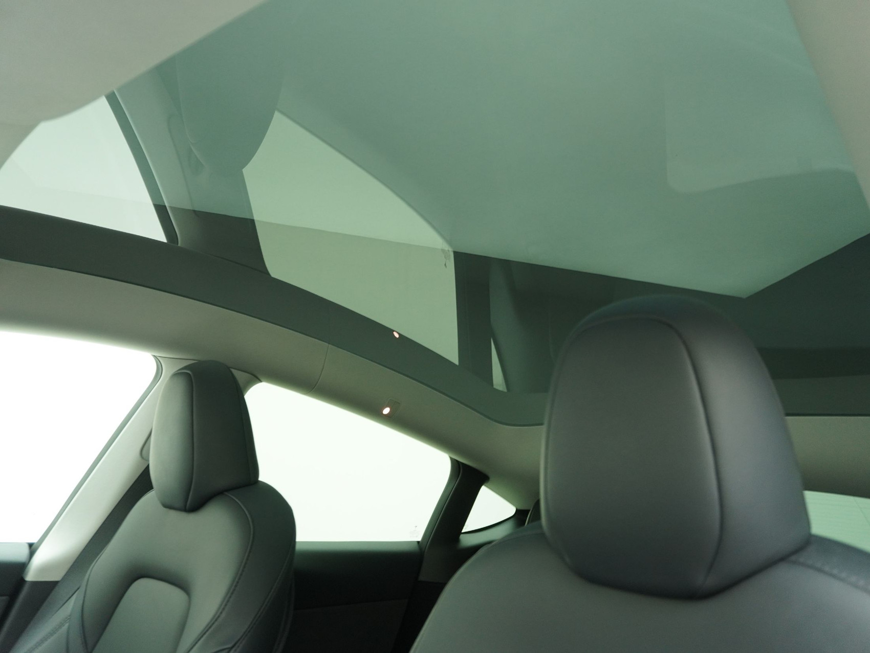 TESLA Model Y Performance D