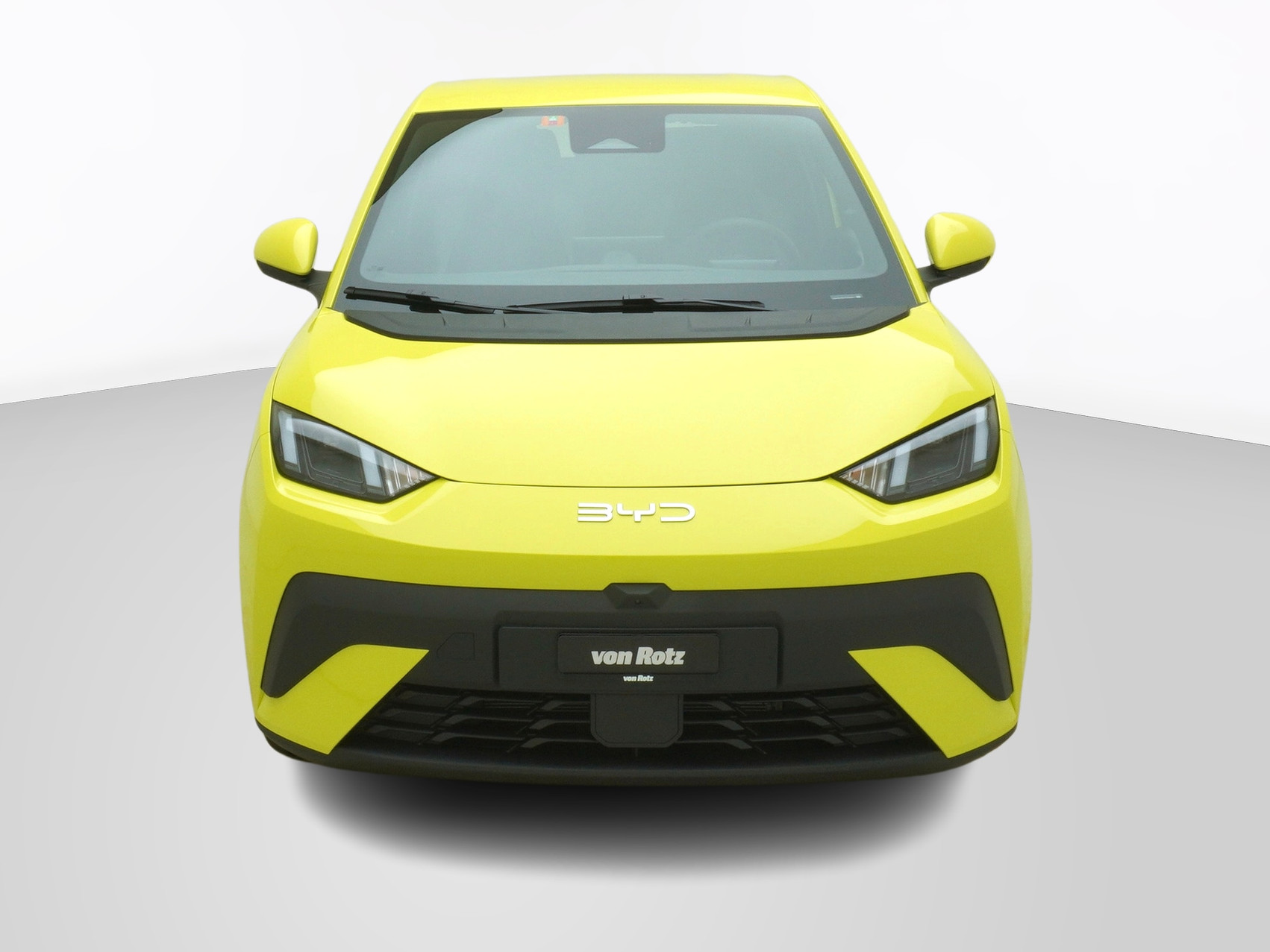 BYD Dolphin Surf Comfort